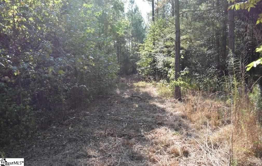 D1600 Metric Road, Unit TRACT 10 Laurens, SC 29360 - Photo 25 of 35 Gallery Image 25