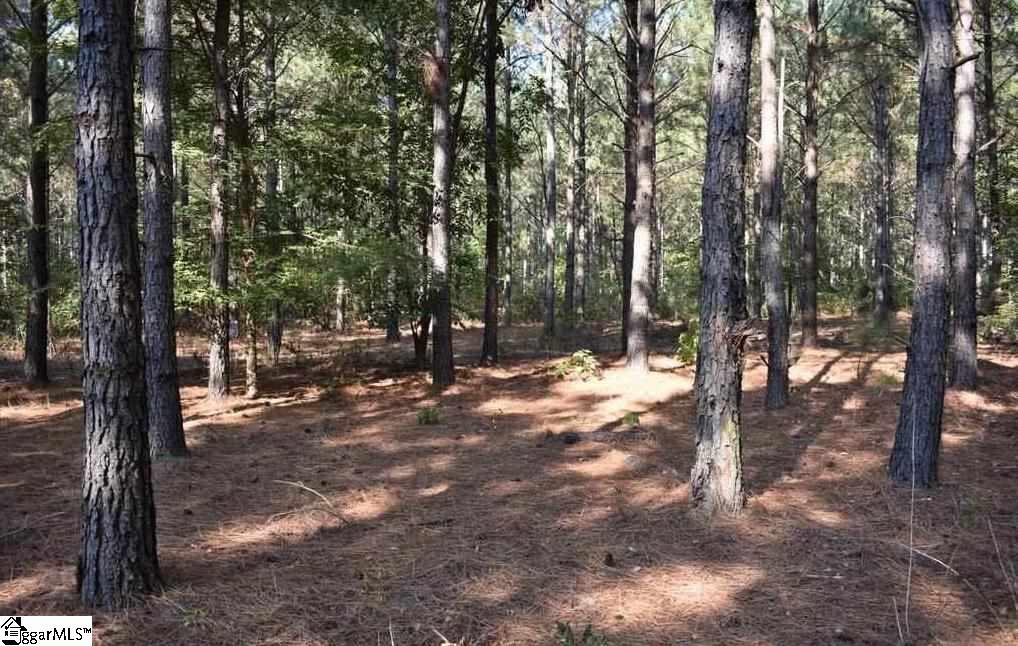 D1600 Metric Road, Unit TRACT 10 Laurens, SC 29360 - Photo 28 of 35 Gallery Image 28