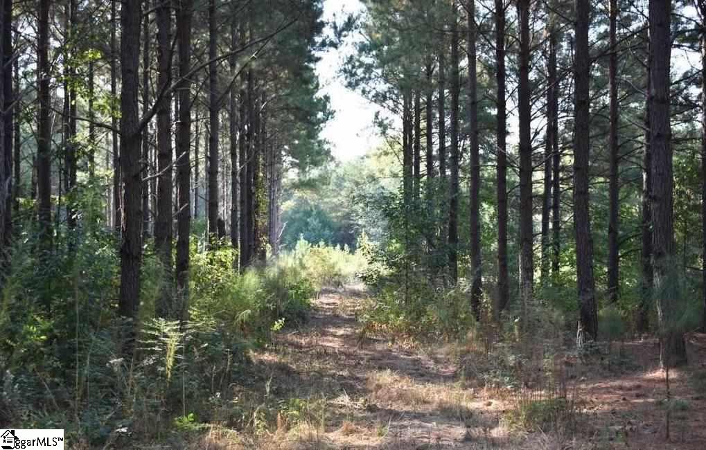 D1600 Metric Road, Unit TRACT 10 Laurens, SC 29360 - Photo 4 of 35 Gallery Image 4