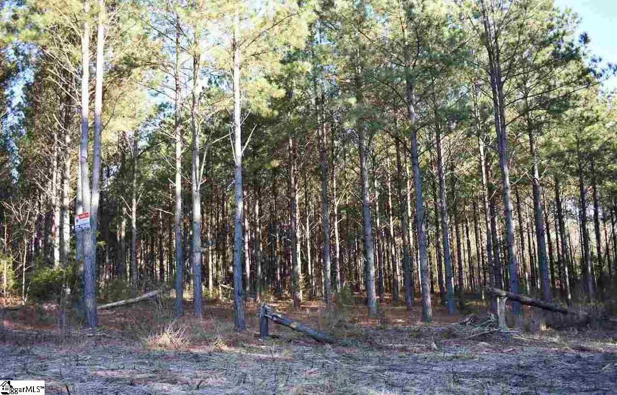 D1600 Metric Road, Unit TRACT 10 Laurens, SC 29360 - Photo 33 of 35 Gallery Image 33