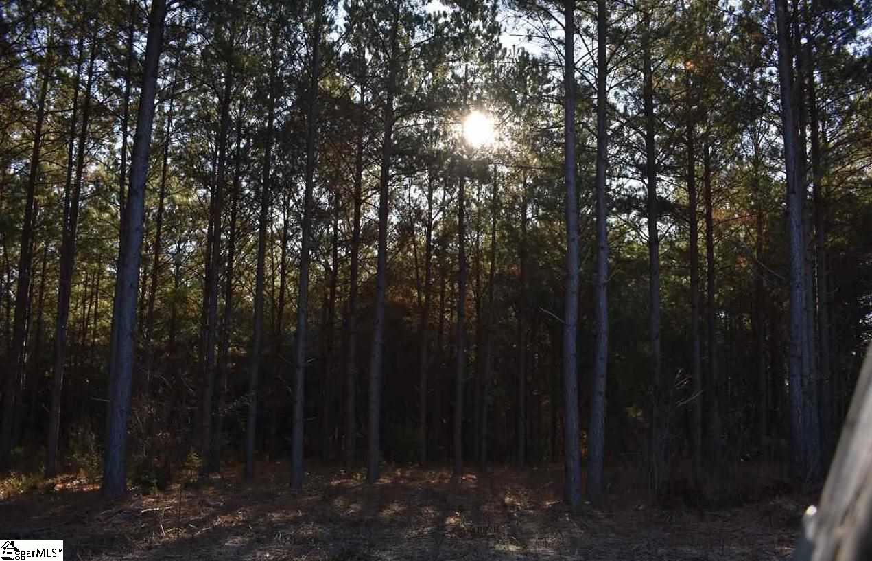 D1600 Metric Road, Unit TRACT 10 Laurens, SC 29360 - Photo 34 of 35 Gallery Image 34