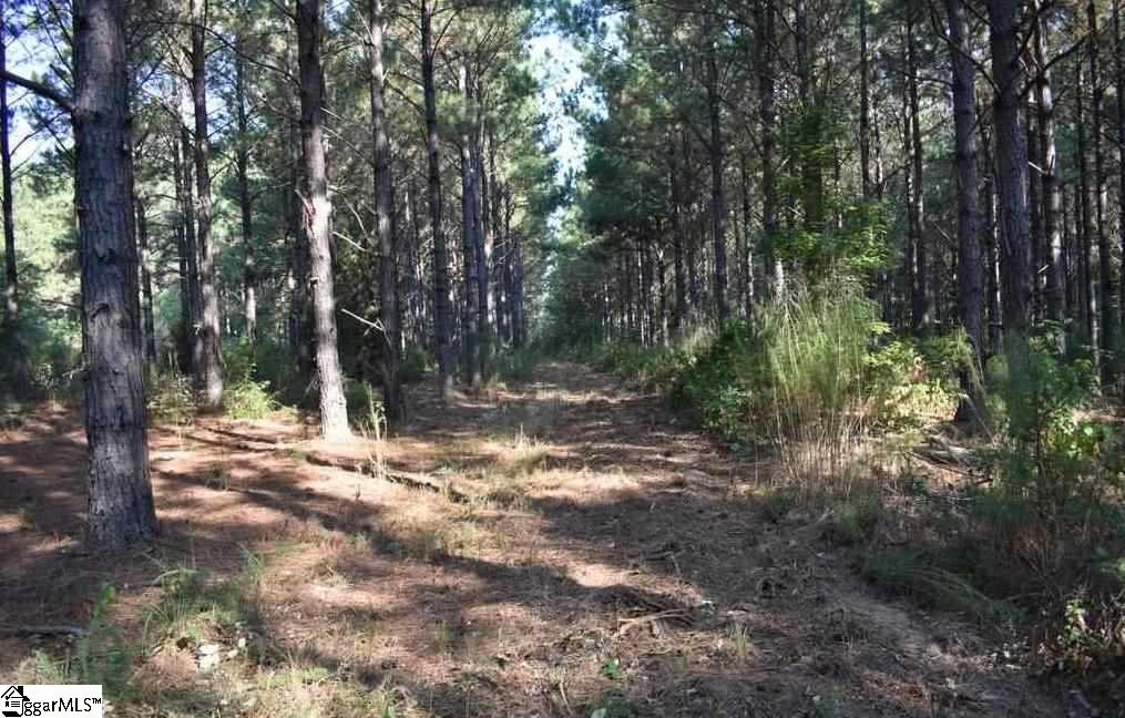 D1600 Metric Road, Unit TRACT 10 Laurens, SC 29360 - Photo 6 of 35 Gallery Image 6