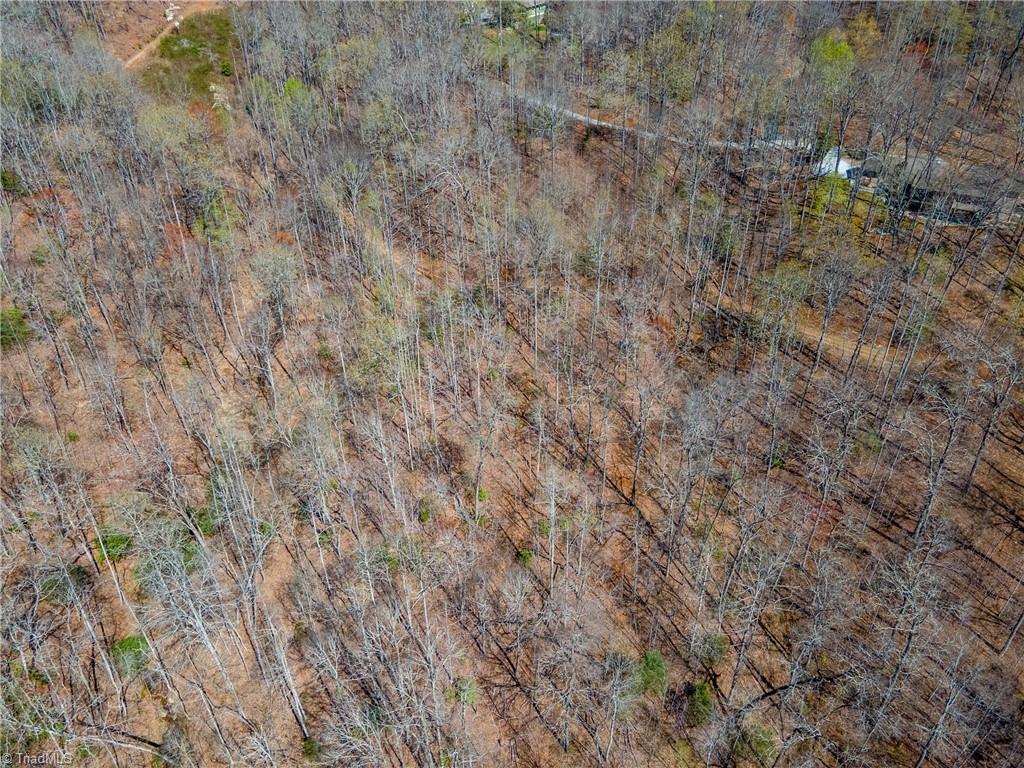 Tbd Wayah Road Franklin, NC 28734 - Photo 8 of 10 Gallery Image 8