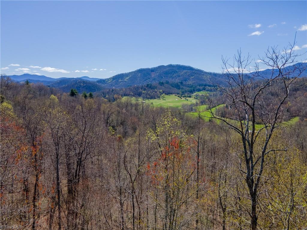 Tbd Wayah Road Franklin, NC 28734 - Photo 9 of 10 Gallery Image 9
