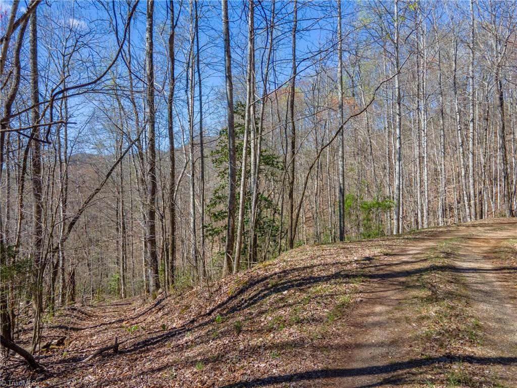 Tbd Wayah Road Franklin, NC 28734 - Photo 10 of 10 Gallery Image 10
