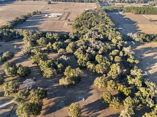 $450,000 | Tbd Northwest Tbd Nw 328th, Reddick, FL 32686