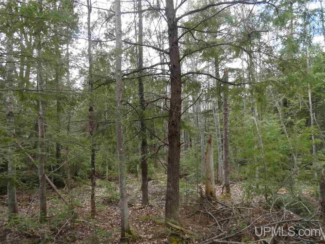 East Shore Road Marenisco, MI 49947 - Photo 5 of 12