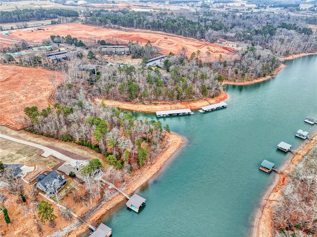 This captivating aerial view showcases waterfront properties with private docks nestled along the serene lake.