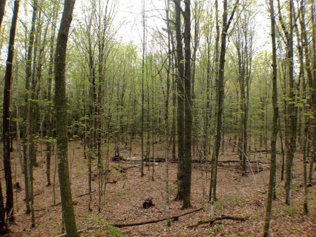 3518 Old 26 Road Conover, WI 54519 - Photo 8 of 20 Gallery Image 8
