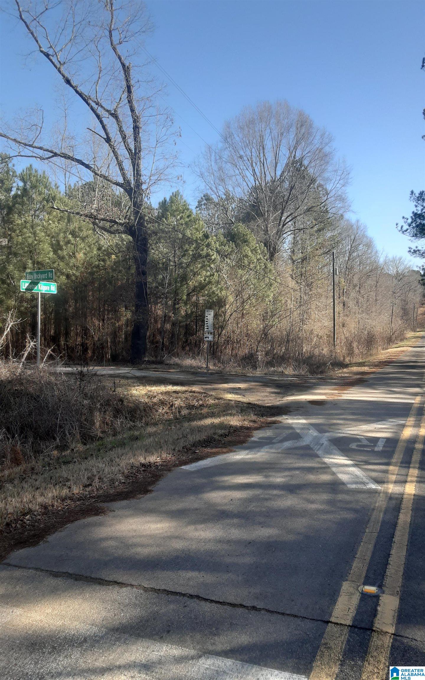 5385 Littleton Kilgore Road Dora, AL 35062 - Photo 26 of 27
