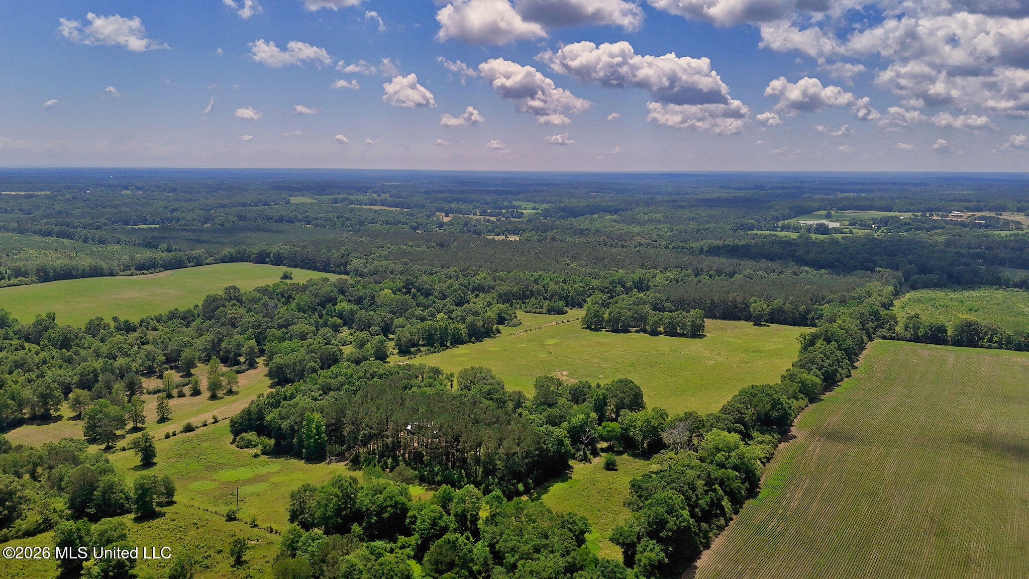 37 Fortenberry Road Tylertown, MS 39667 - Photo 34 of 83 DJI_20260513115836_0176_D