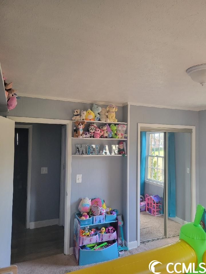435 County Rd S-22-333 Georgetown, SC 29440 - Photo 15 of 28 Gallery Image 15