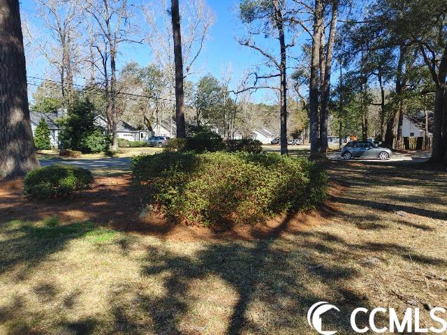 435 County Rd S-22-333 Georgetown, SC 29440 - Photo 26 of 28 Gallery Image 26