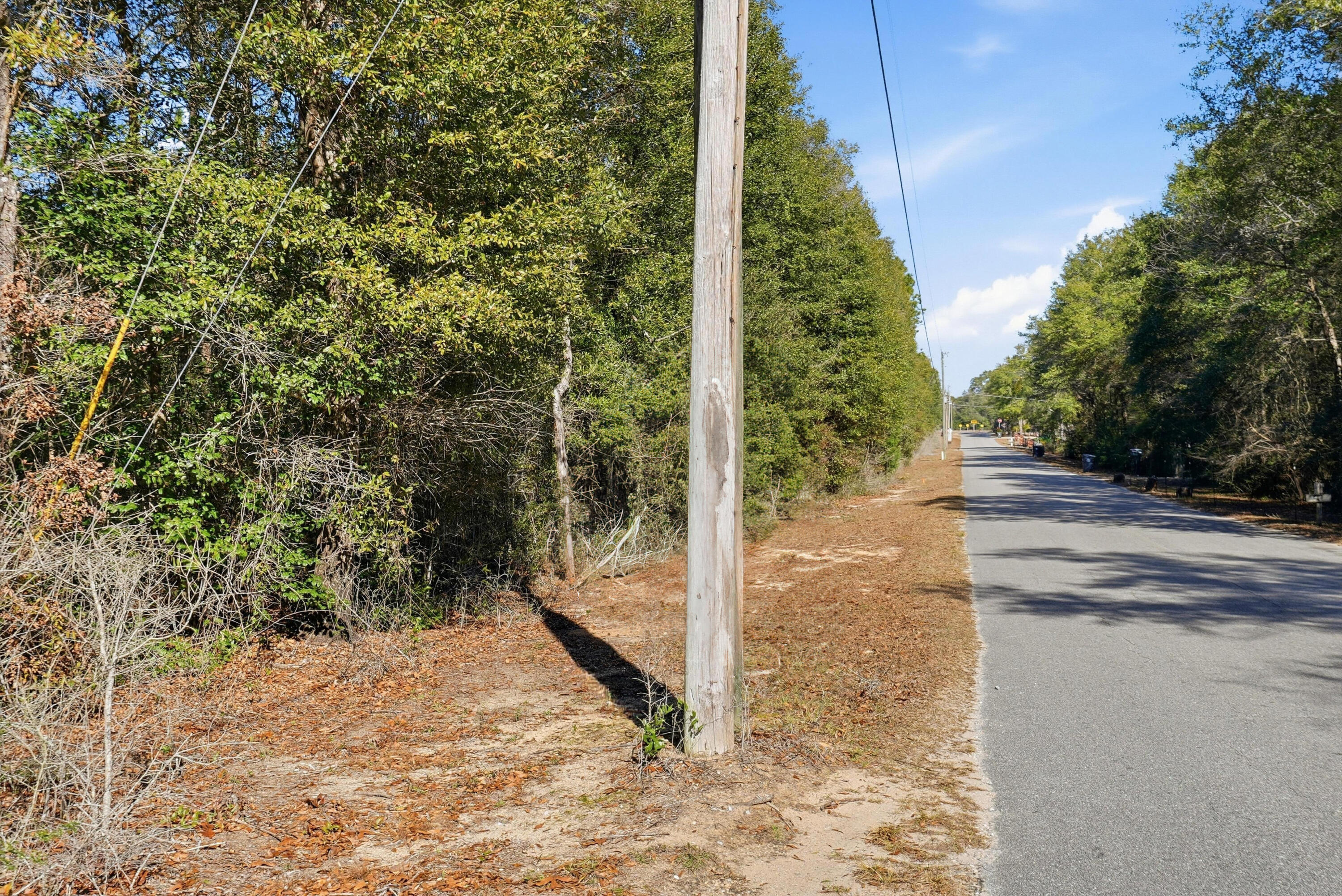 5-ac Holley King Road DeFuniak Springs, FL 32433 - Photo 12 of 13 a view of a yard with plants
