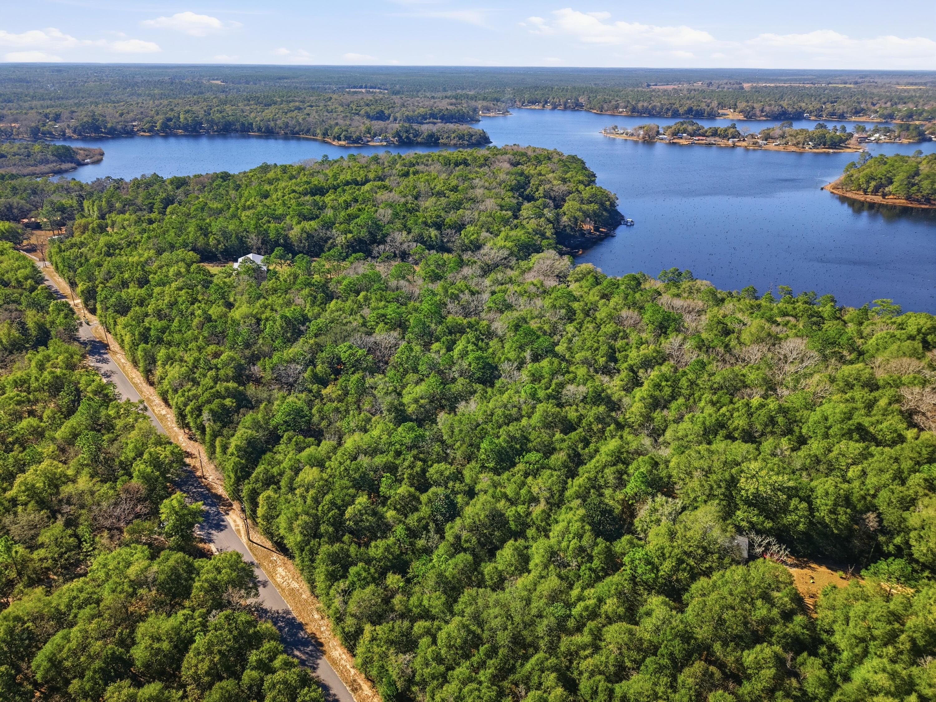 5-ac Holley King Road DeFuniak Springs, FL 32433 - Photo 3 of 13 an aerial view of a houses with a yard and lake view