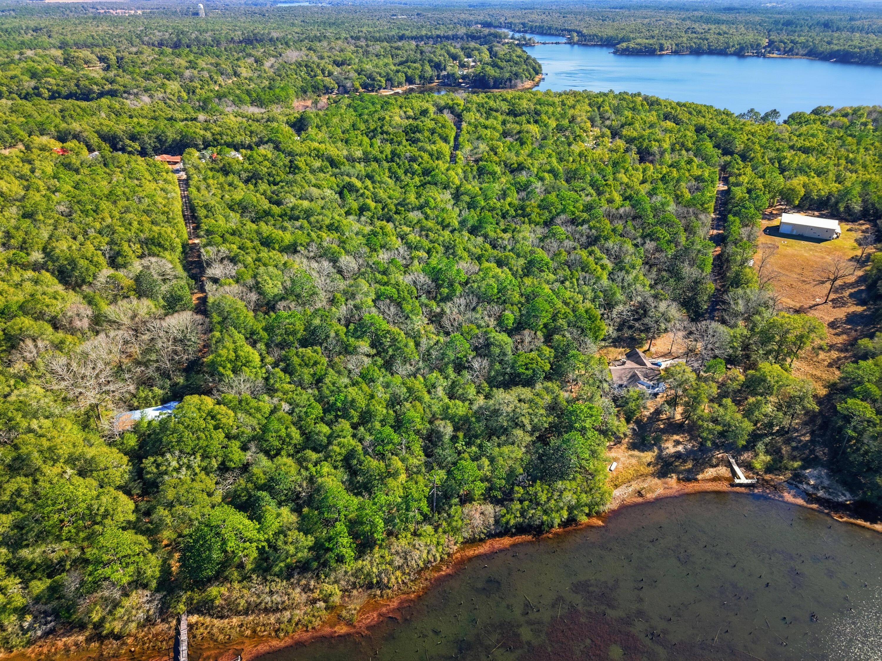5-ac Holley King Road DeFuniak Springs, FL 32433 - Photo 5 of 13 a view of a yard with a tree