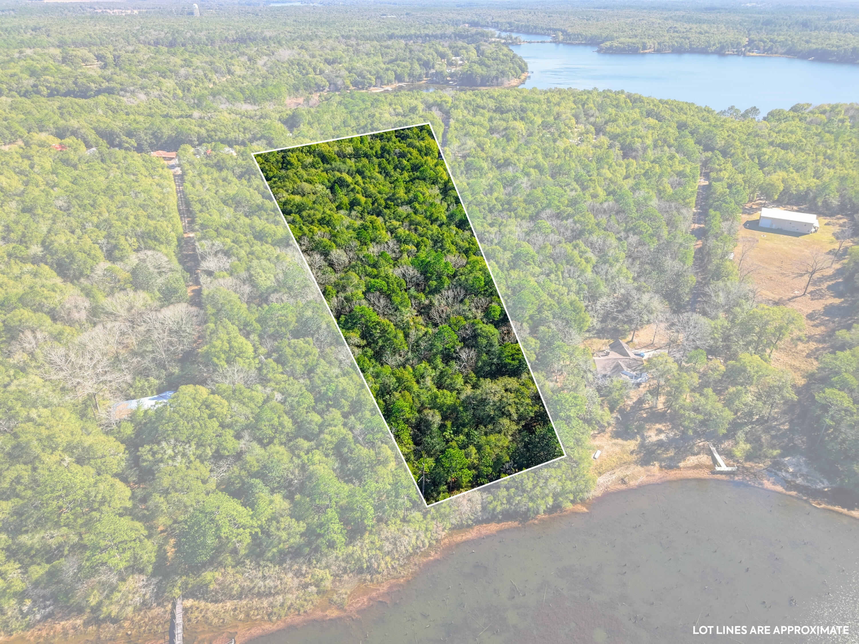 5-ac Holley King Road DeFuniak Springs, FL 32433 - Photo 6 of 13 a view of a garden