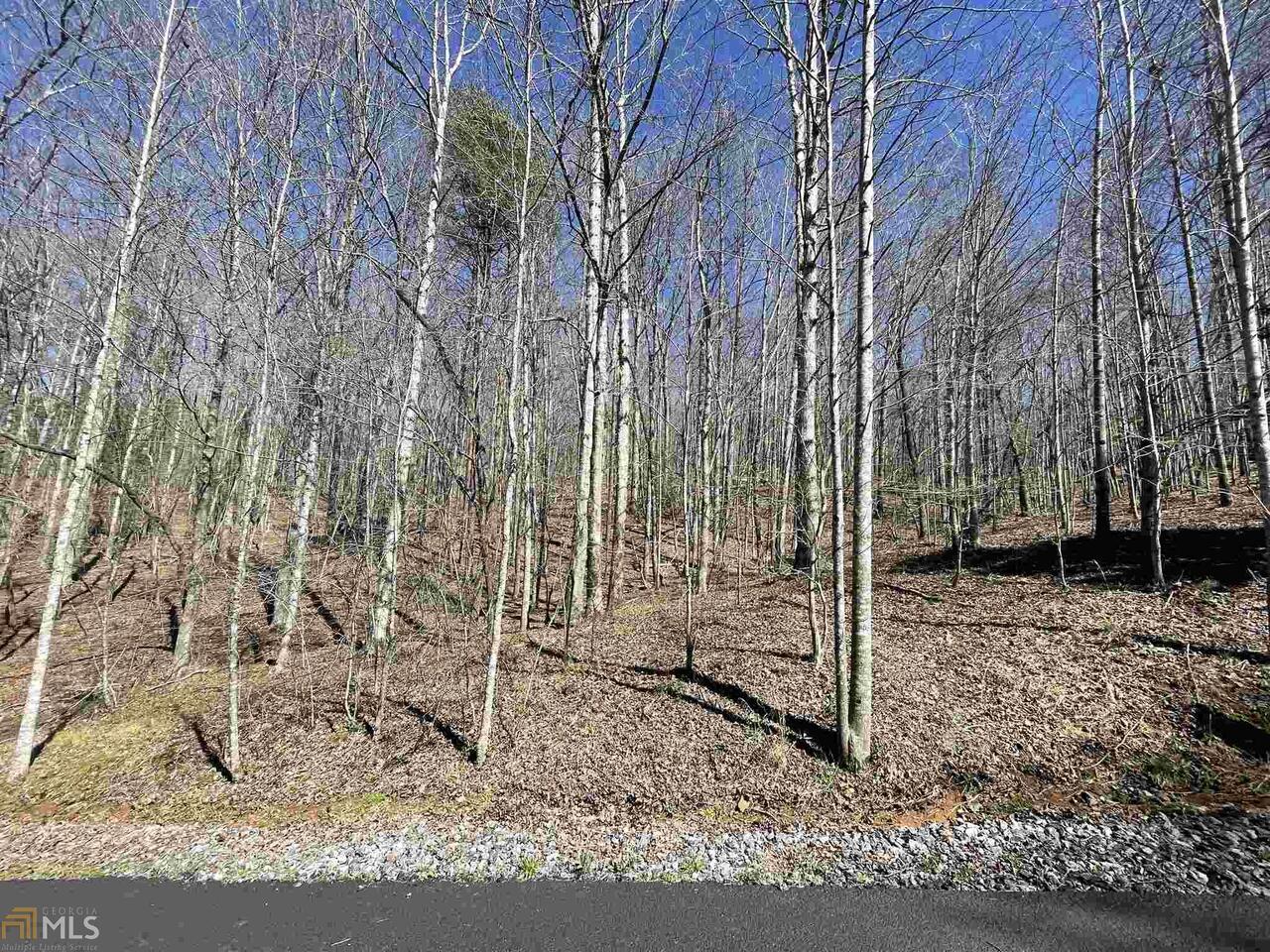 0 Cedar Hollow Road, Unit 18 Cleveland, GA 30528 - Photo 1 of 1