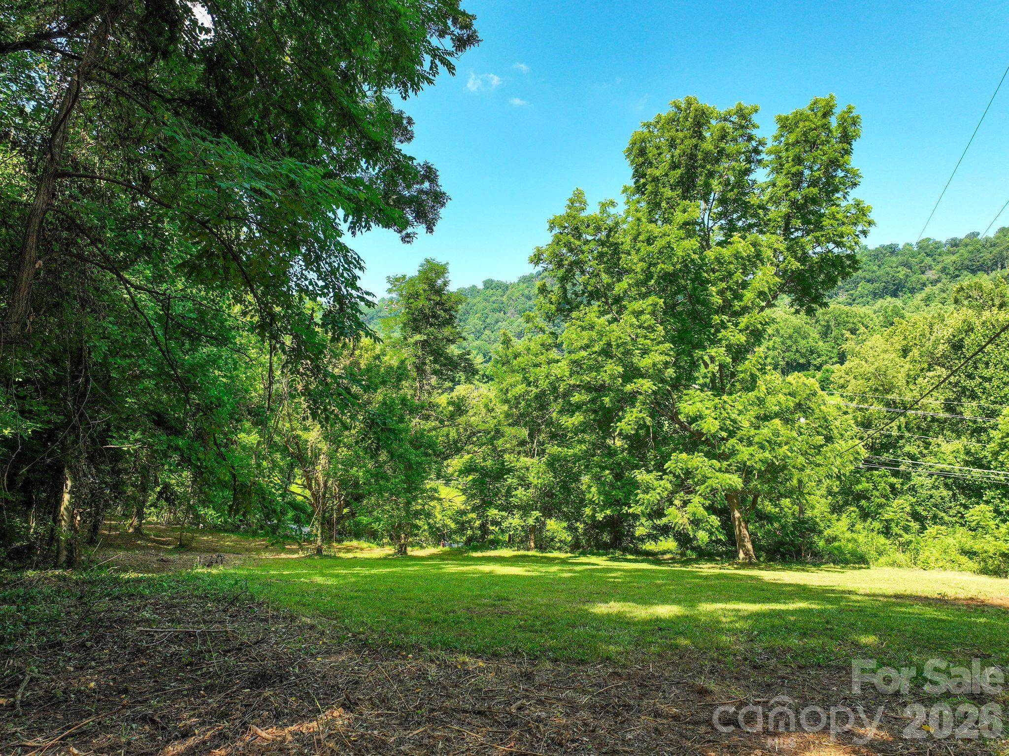 353 Chunns Cove Road Asheville, NC 28805 - Photo 1 of 4