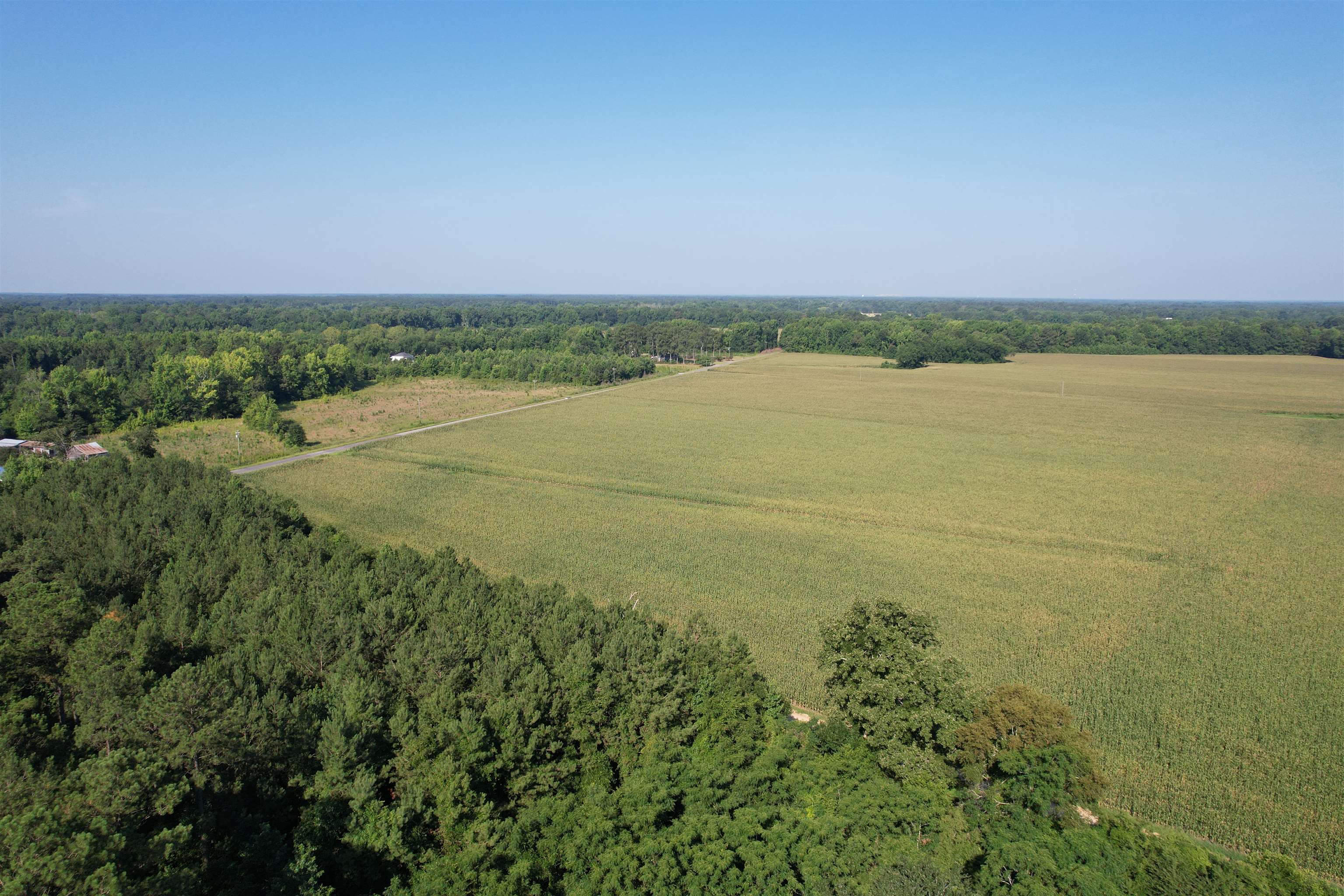 24.36-acres - Newman Swamp Road Lamar, SC 29069 - Photo 14 of 16 Gallery Image 14