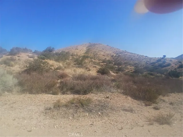 a view of a dry yard