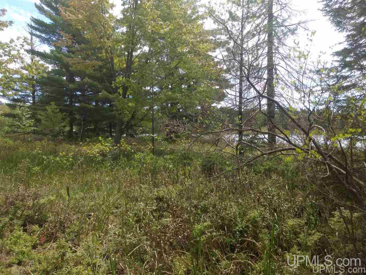 Tbd Rice Landing Road, Unit 13 Lake Linden, MI 49945 - Photo 20 of 35