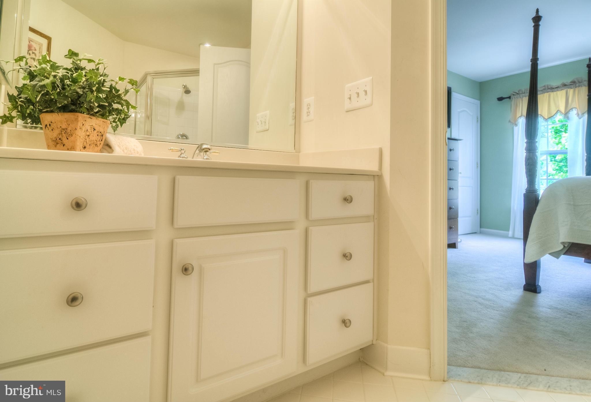 7102 Ayers Meadow Lane Springfield, VA 22150 - Photo 19 of 30 Bath