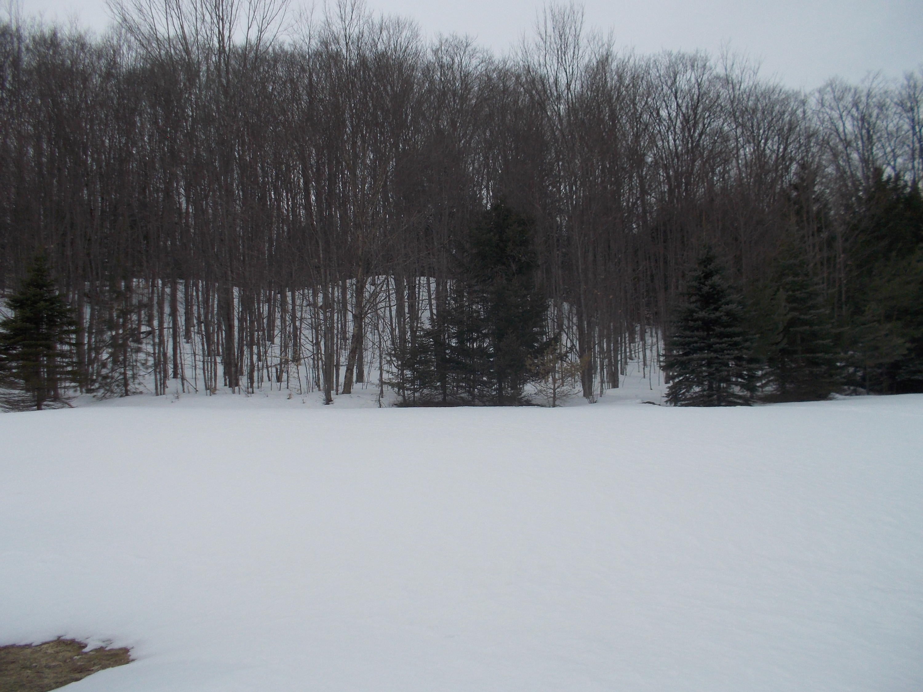 1010 Jackson Hill Road Gaylord, MI 49735 - Photo 49 of 49 Gallery Image 49