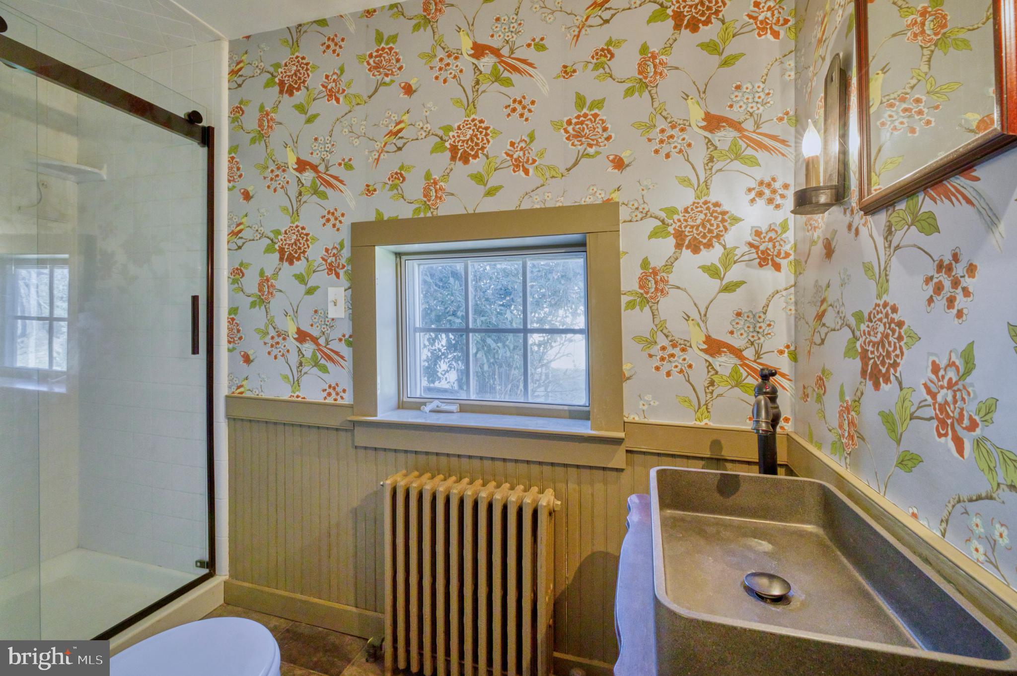 38678 Piggott Bottom Road Hamilton, VA 20158 - Photo 24 of 103