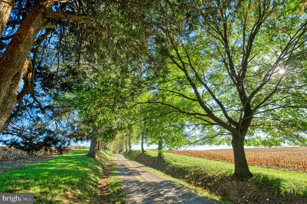 $2,600,000 | 38678 Piggott Bottom Road, Hamilton, VA 20158