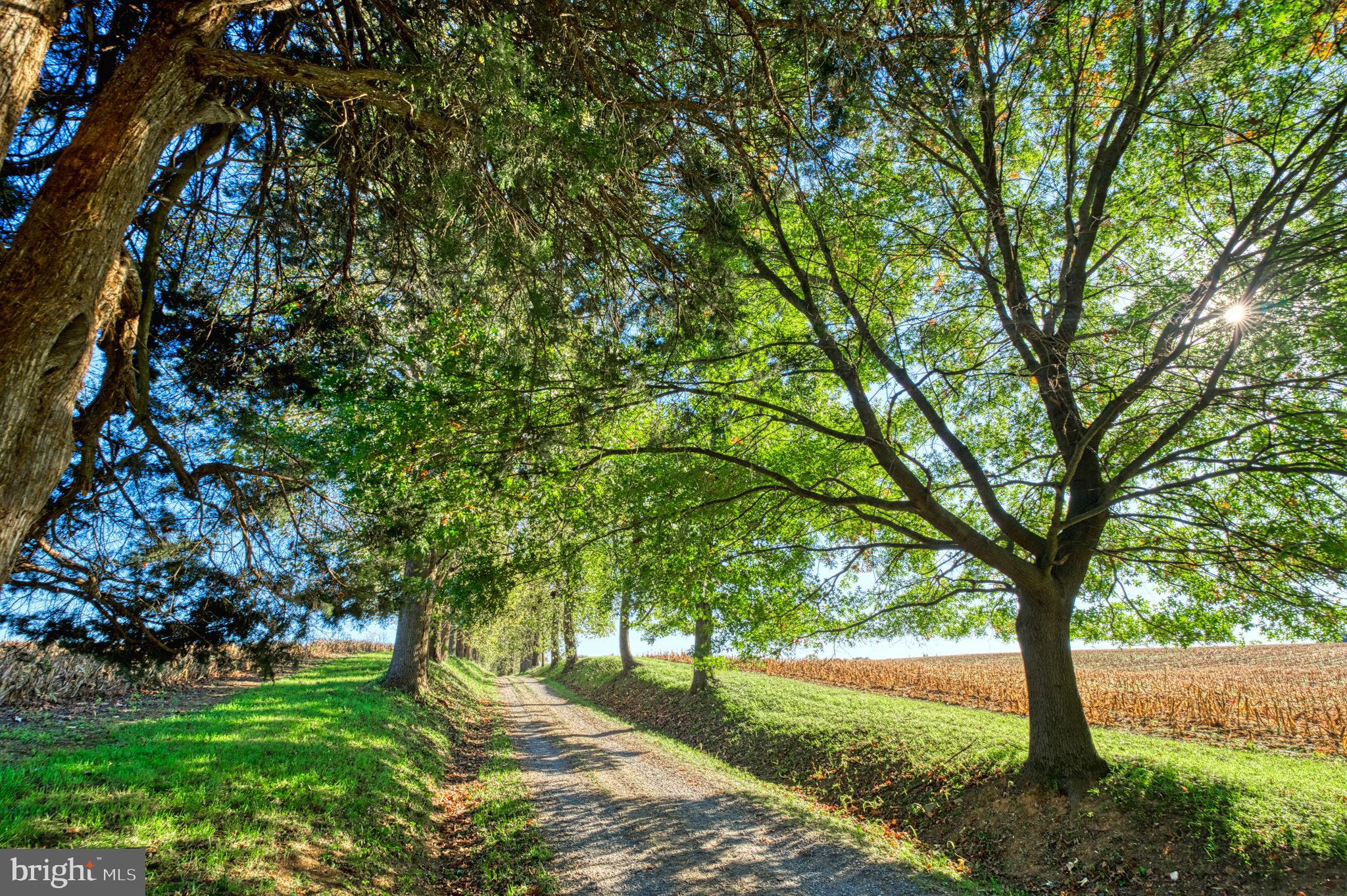 38678 Piggott Bottom Road Hamilton, VA 20158 - Photo 7 of 103