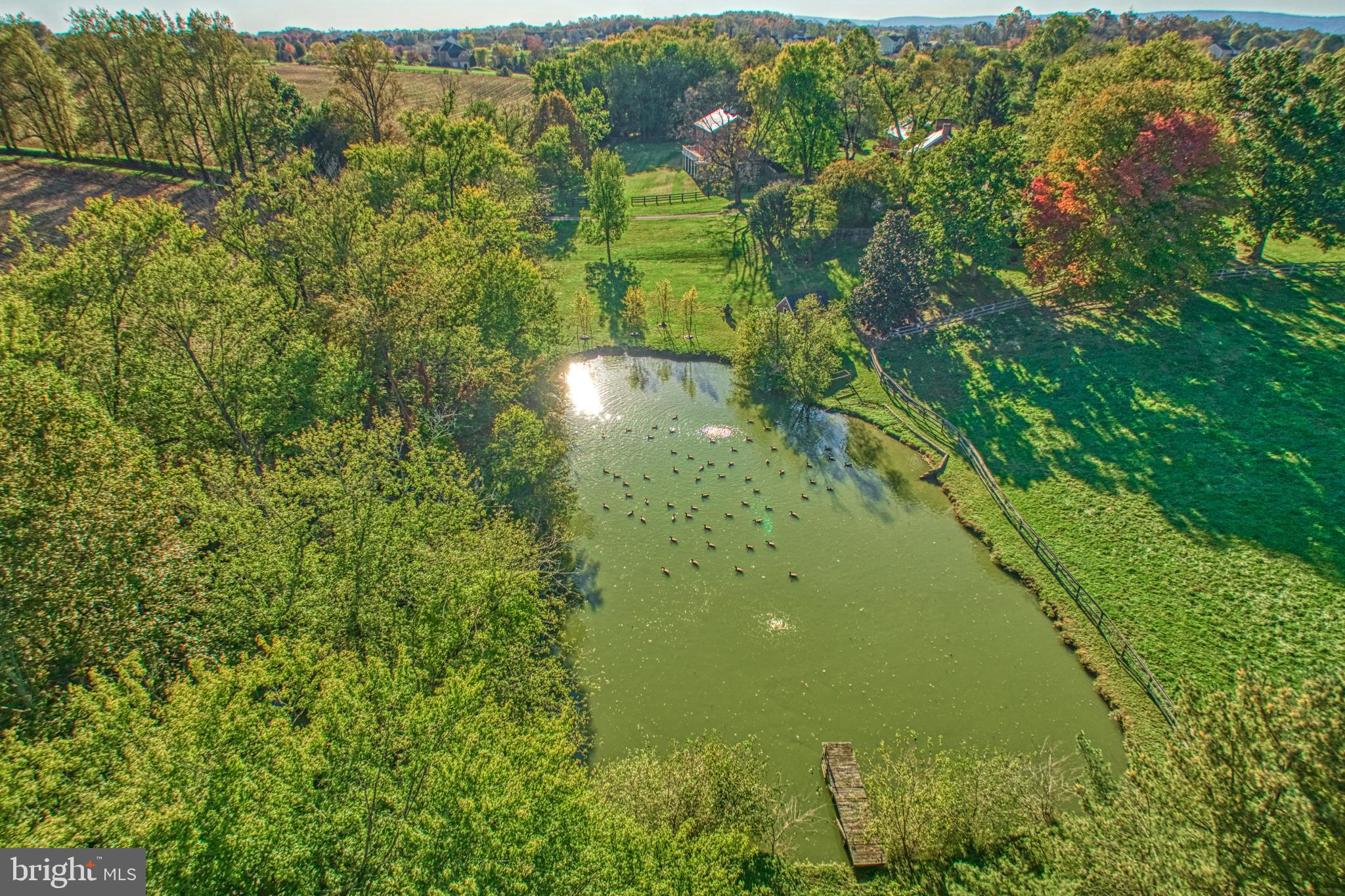 38678 Piggott Bottom Road Hamilton, VA 20158 - Photo 84 of 103