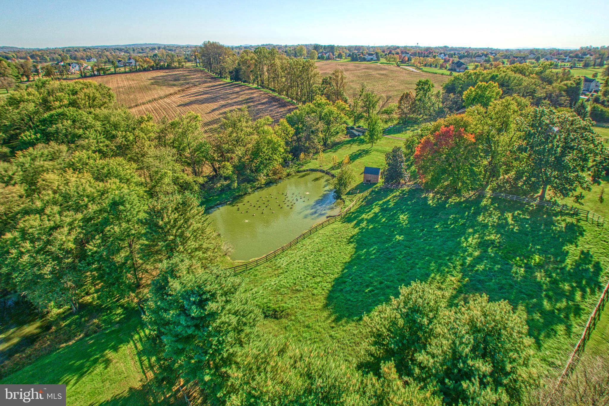 38678 Piggott Bottom Road Hamilton, VA 20158 - Photo 94 of 103