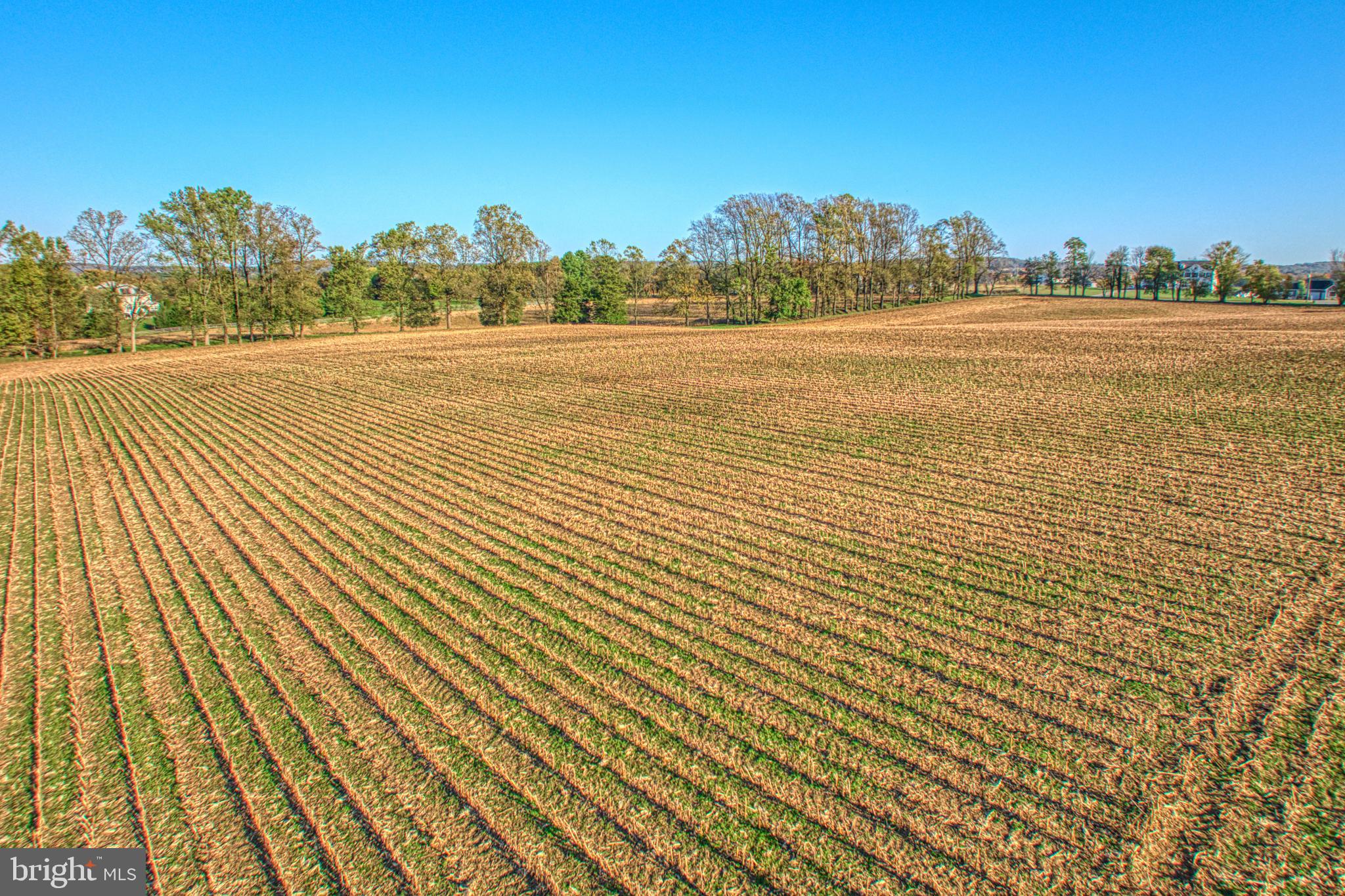 38678 Piggott Bottom Road Hamilton, VA 20158 - Photo 100 of 103