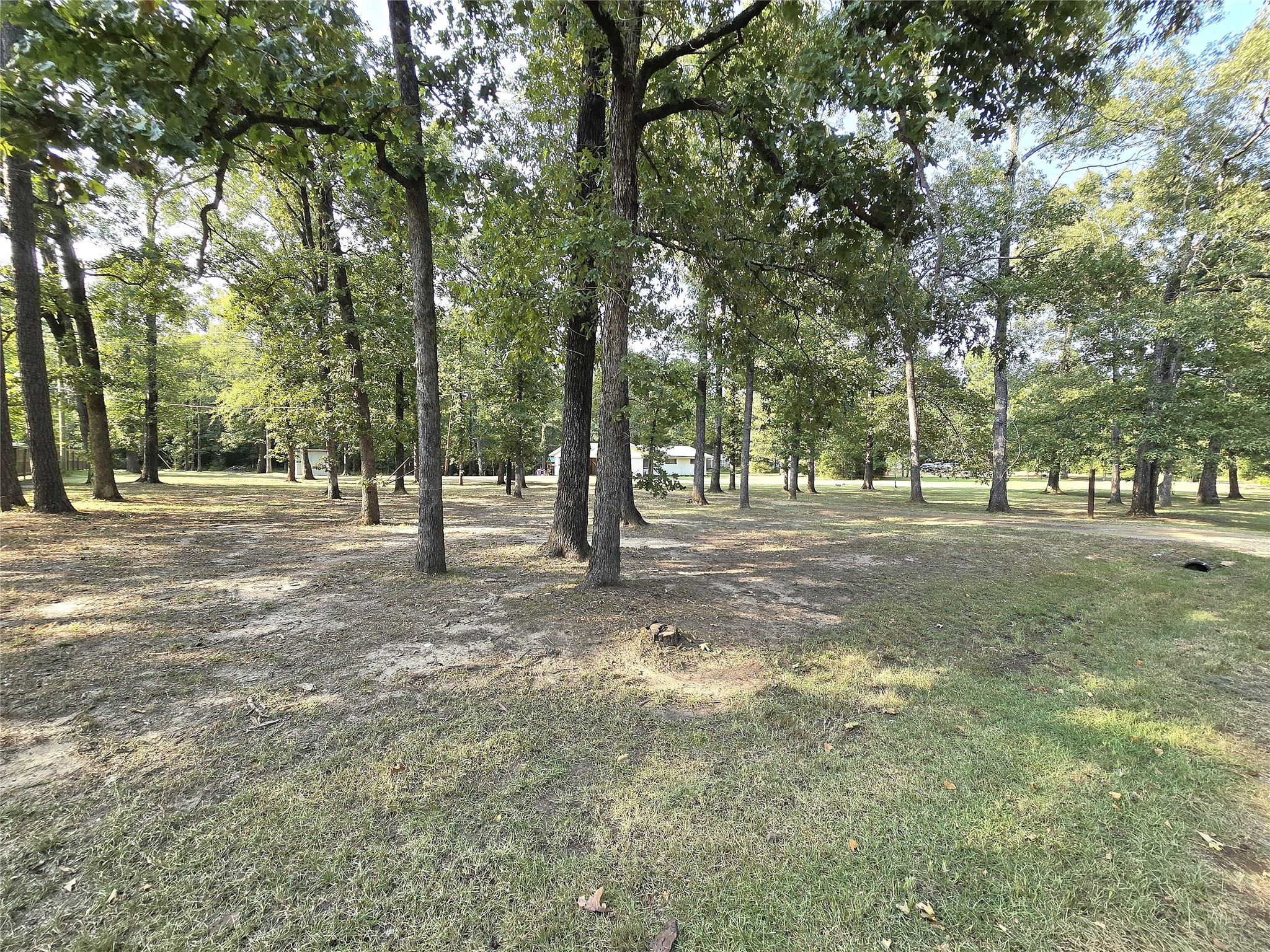 2295 Harley Golden Road Huntington, TX 75949 - Photo 20 of 26 Front from left side street