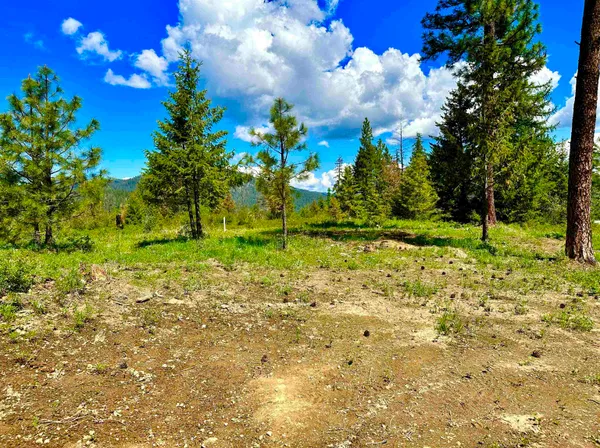 $74,900 | 1649 Palmer Lane, Chewelah, WA 99109