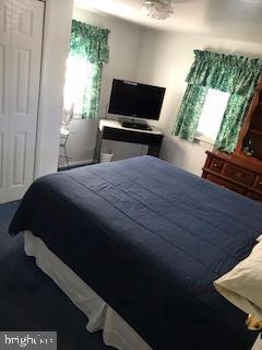 437 Slab Road Delta, PA 17314 - Photo 5 of 28 Bedroom (Master)