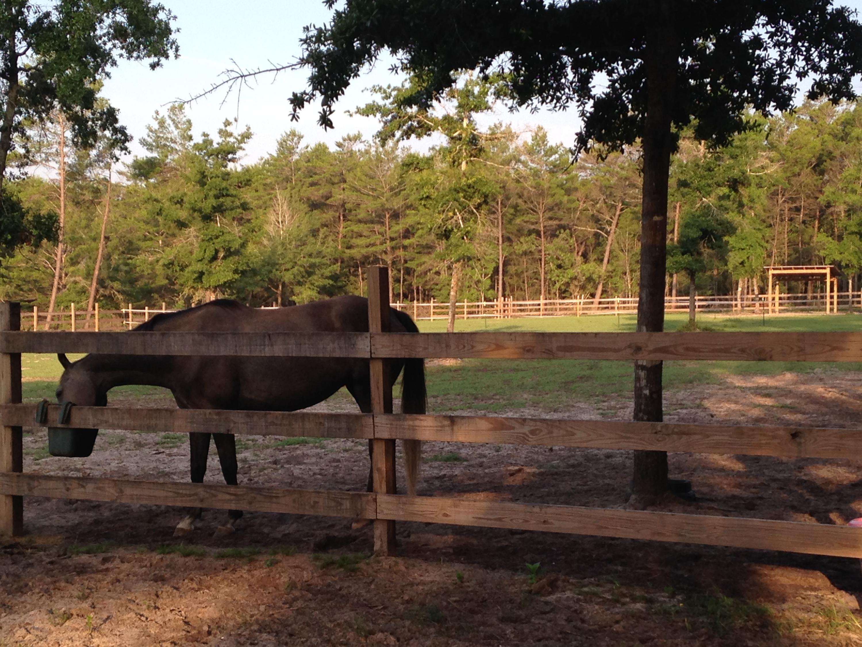 517 Woodlawn Road Freeport, FL 32439 - Photo 1 of 26 Mini Equestrian Estate in Freeport