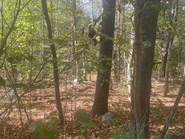 $43,000 | Lot 13 Secret Lake Road, Phillipston, MA 01331