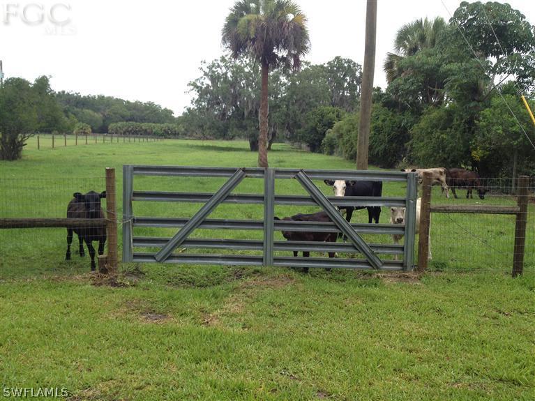 13301 Peace Road Fort Myers, FL 33905 - Photo 7 of 8 Gallery Image 7
