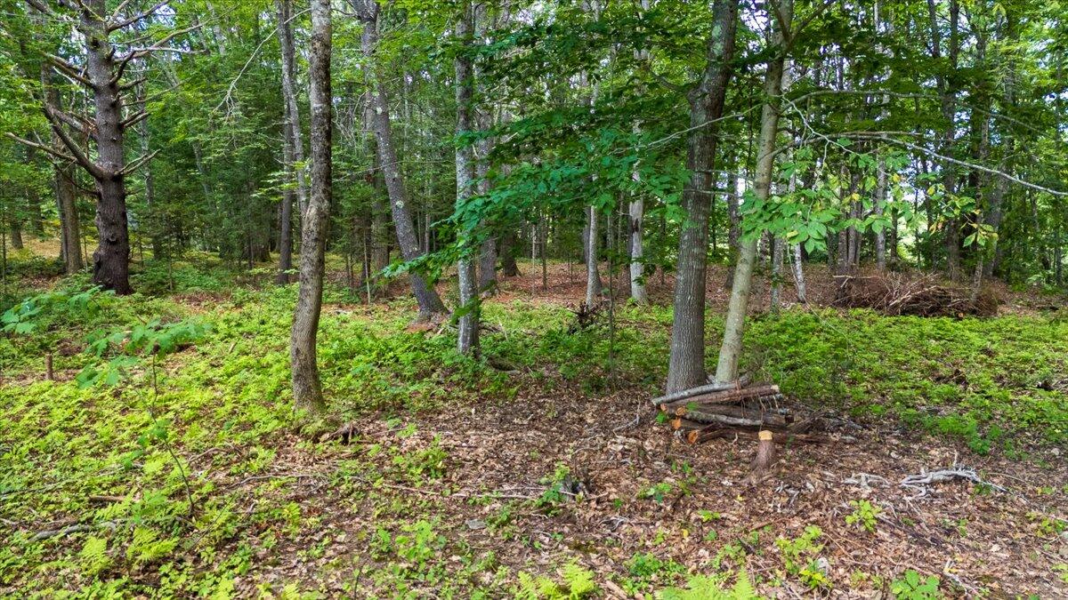 Lot 3 Lewis Hill Road Newcastle, ME 04553 - Photo 8 of 32 15-Lewis Farm-13