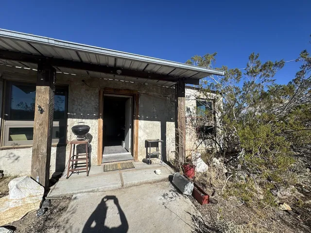 a view of front door and potted plants