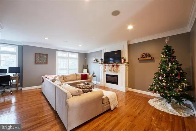 a living room with furniture potted plant and a fireplace