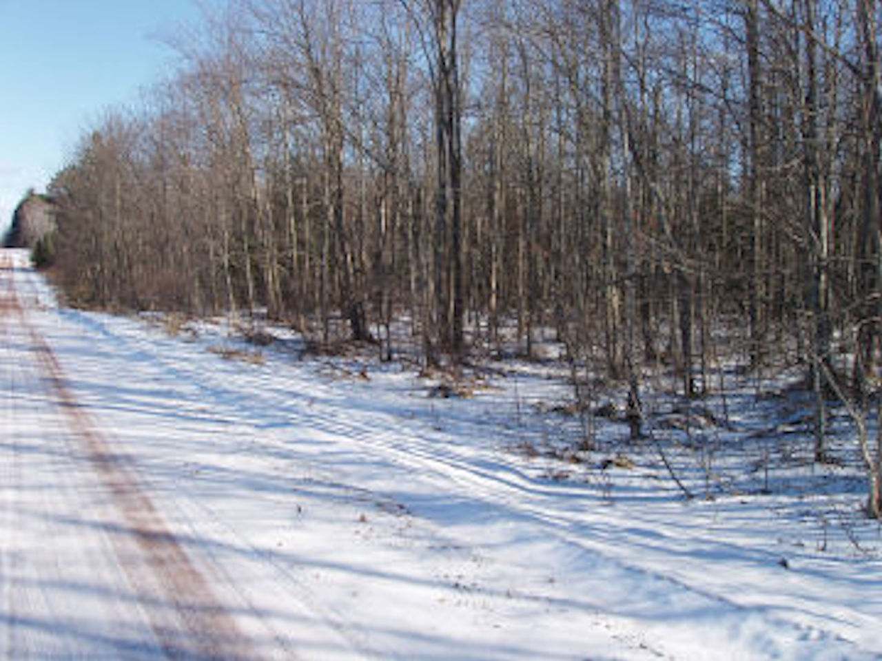 On Gilgen Road Mellen, WI 54546 - Photo 3 of 4 Gallery Image 3