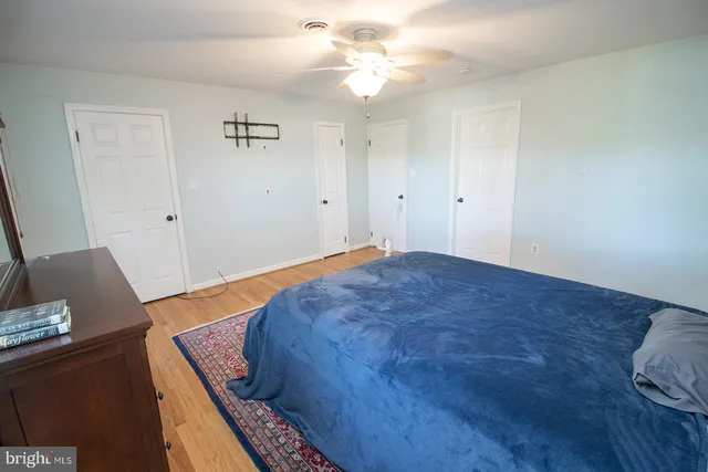 a view of a yard with plants and trees