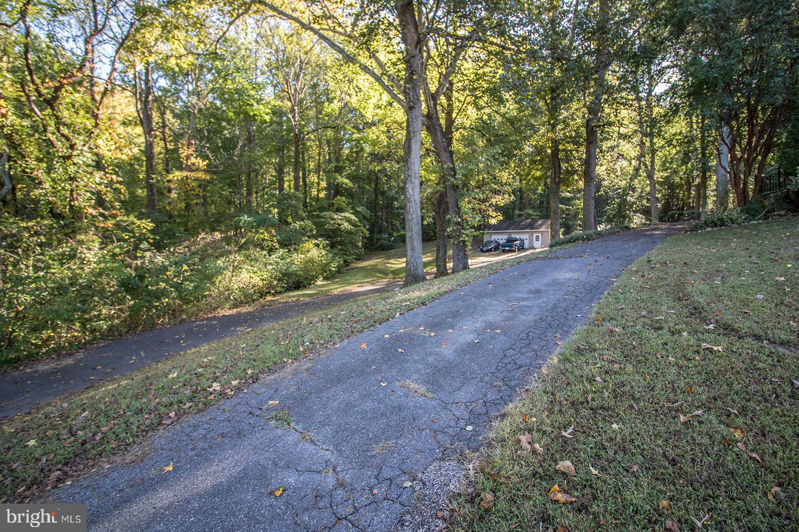 8120 Chapel Point Road Port Tobacco, MD 20677 - Photo 75 of 95 a view of a yard with plants and trees