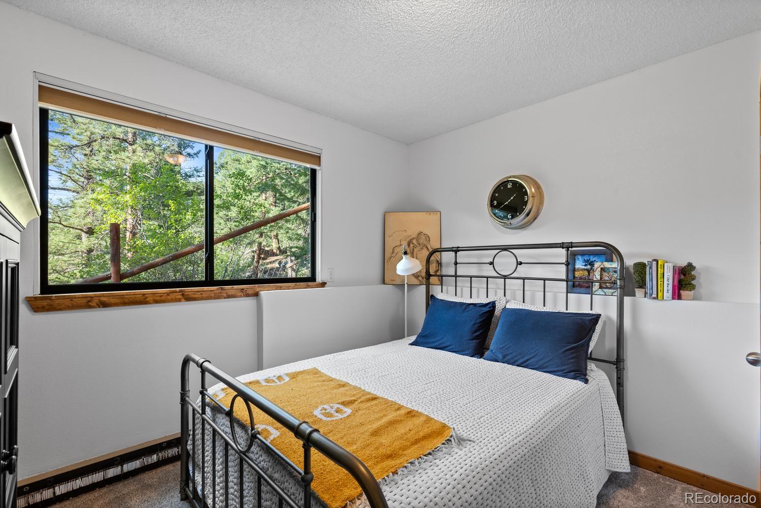 129 Silver Springs Road Bailey, CO 80421 - Photo 24 of 47 Gallery Image 24