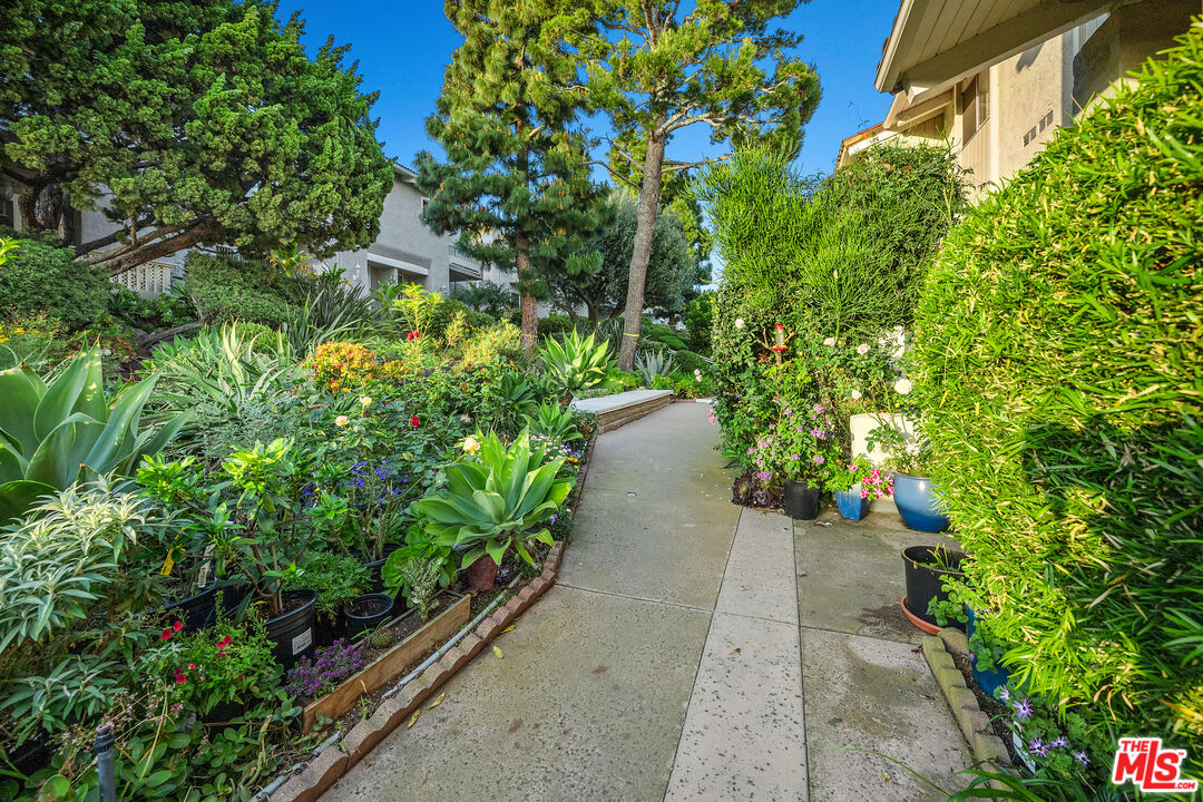 28378 Rey De Copas Lane Malibu, CA 90265 - Photo 44 of 45 a view of a pathway with plants and large trees