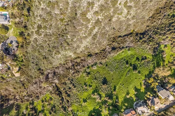 a view of a tree