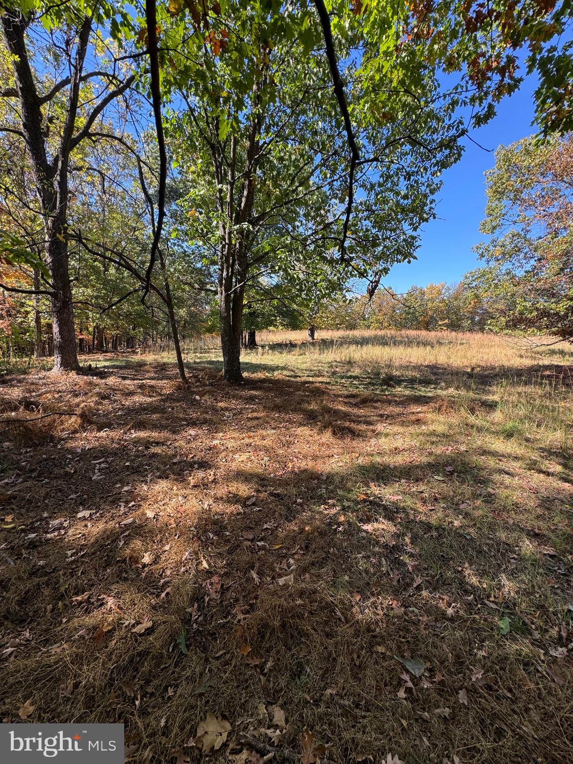 781 Dunmore Road Petersburg, WV 26847 - Photo 21 of 35